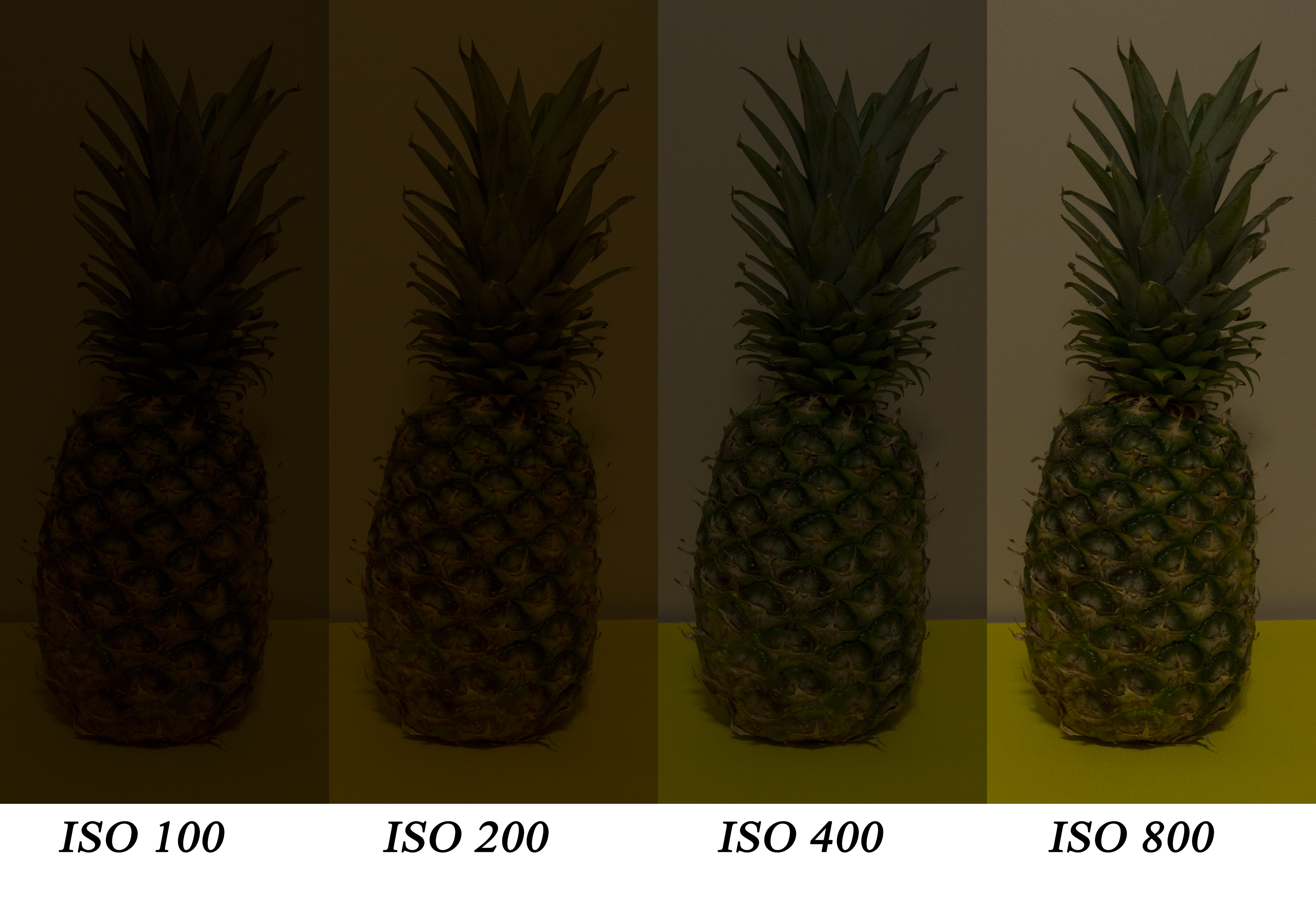 pineapple iso