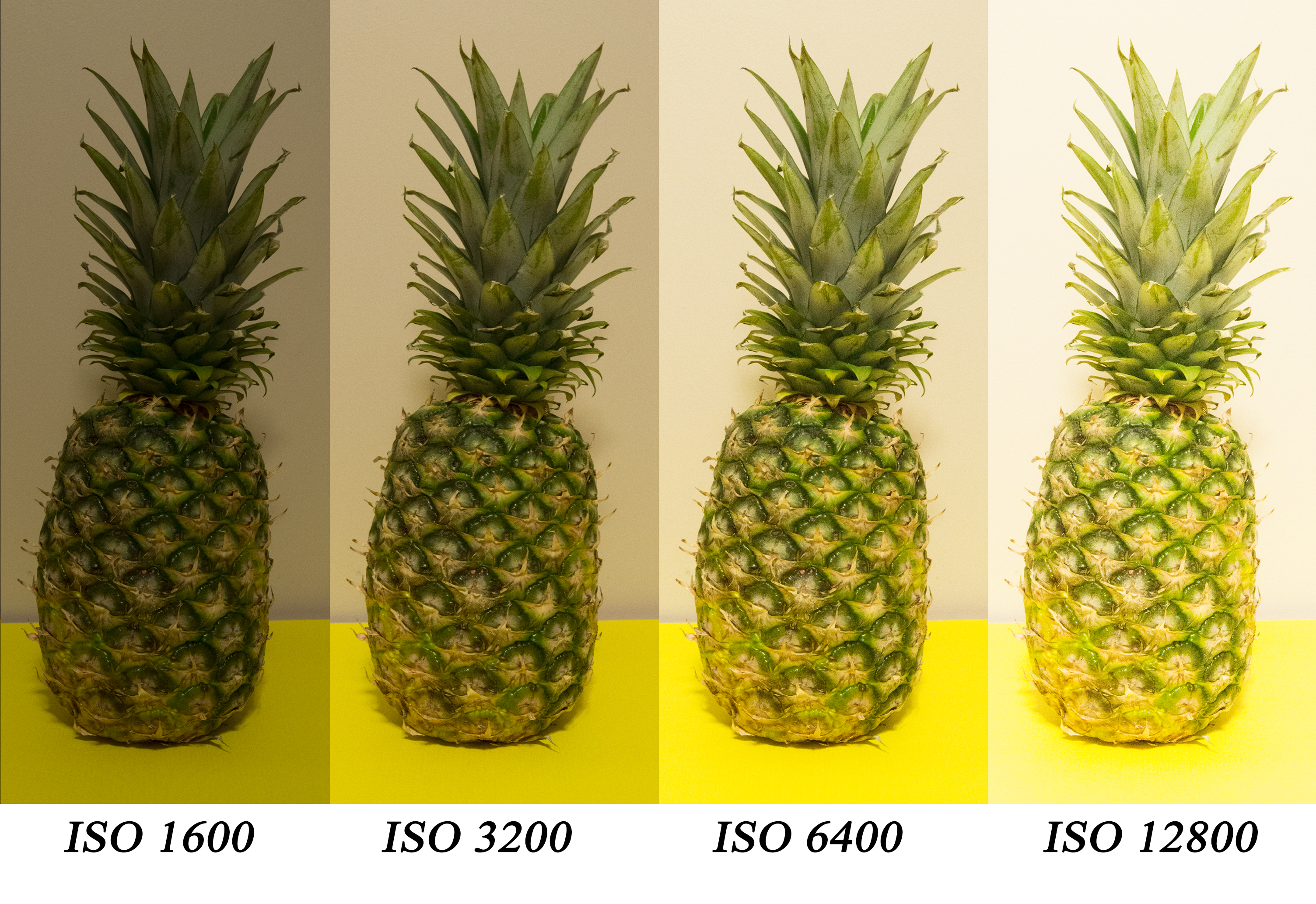 pineapple iso